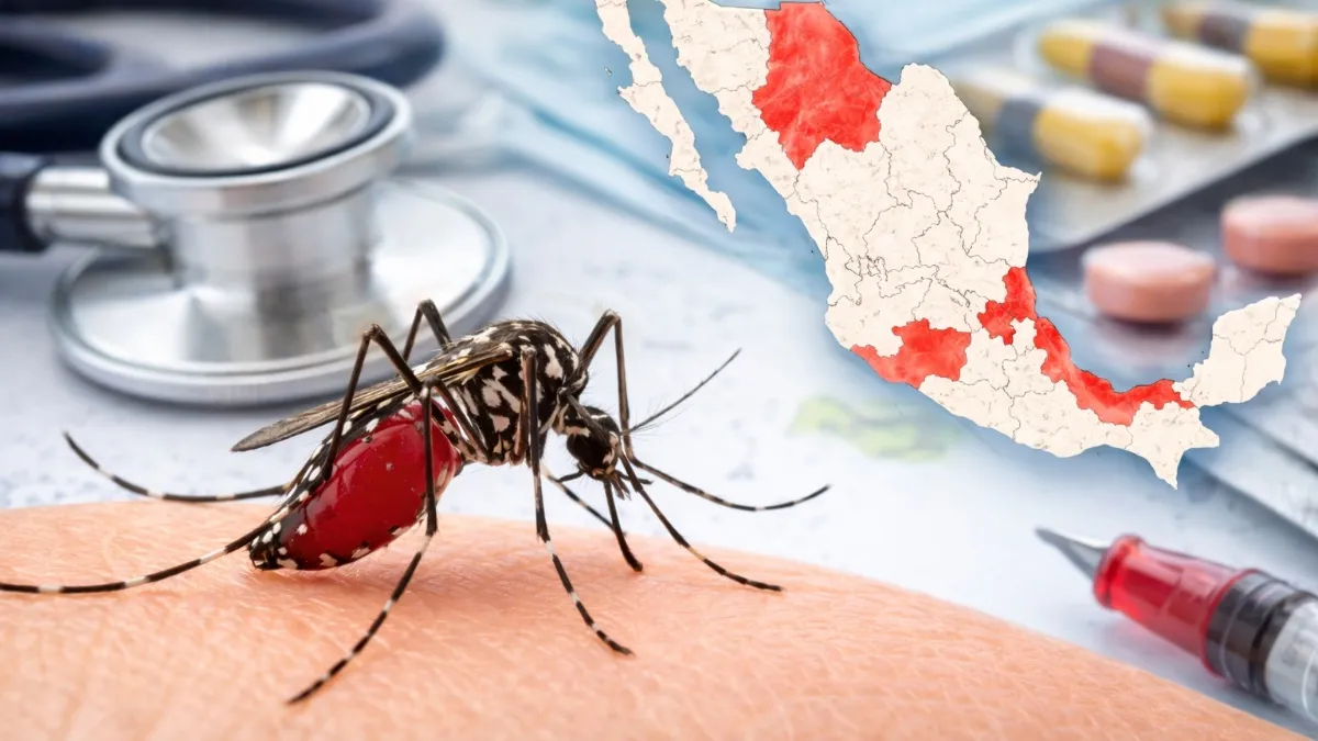 Veracruz, entre cinco estados con más dengue en México