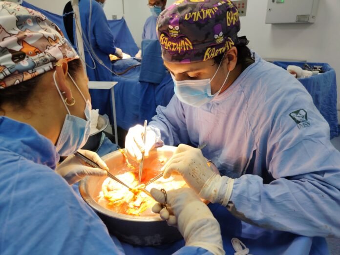 Realiza UMAE HE No. 14 del IMSS Veracruz Norte tercera procuración cadavérica del año