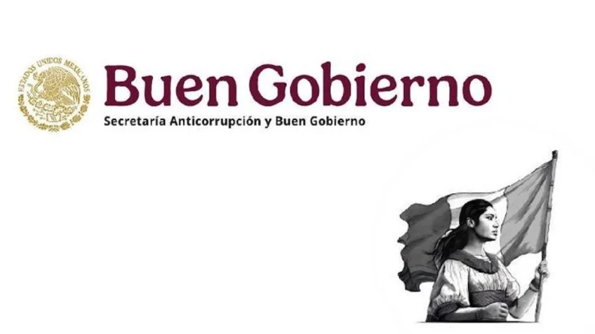 Buen Gobierno informa en relación a la aprehensión de una  persona ex servidora pública del SAT