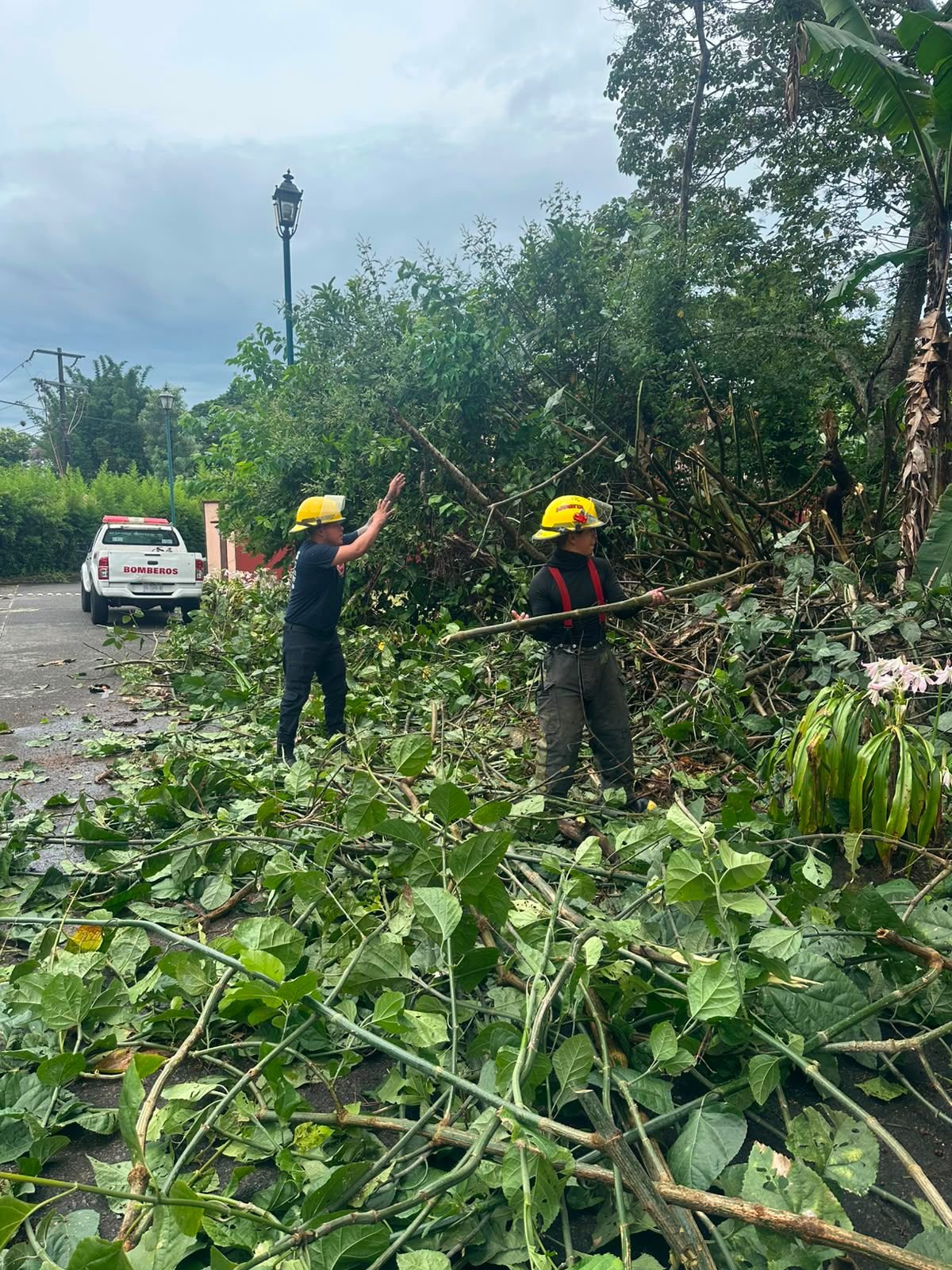 Atiende PC de Coatepec daños por intensas lluvias