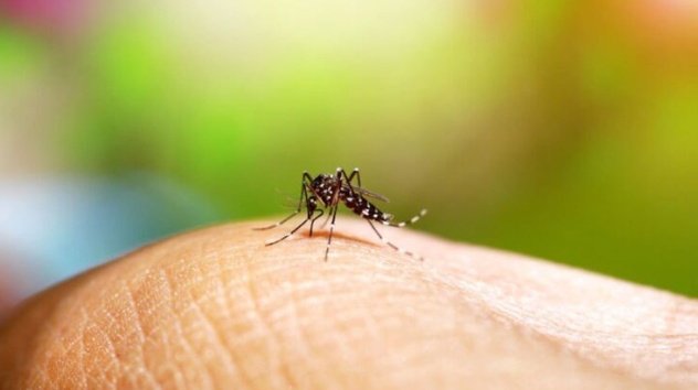 Se mantiene Veracruz entre los estados con máscasos de dengue