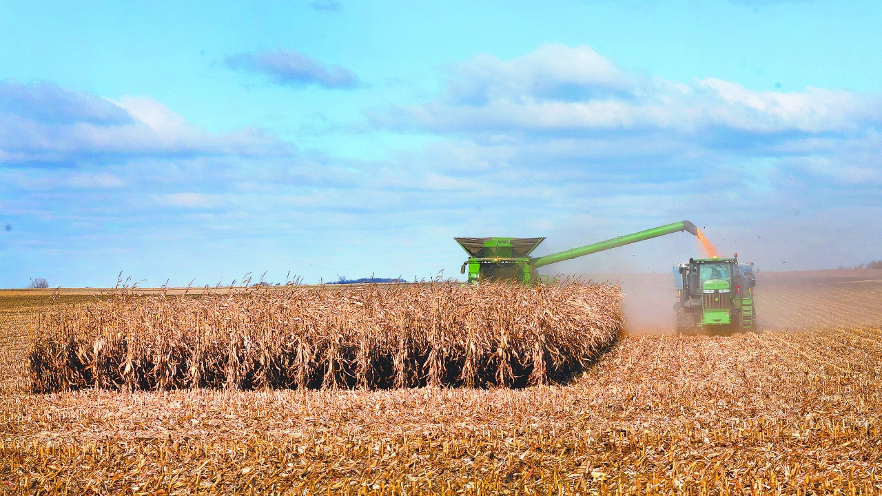 México batirá récord de importaciones de maíz en 2026 y 2027: USDA