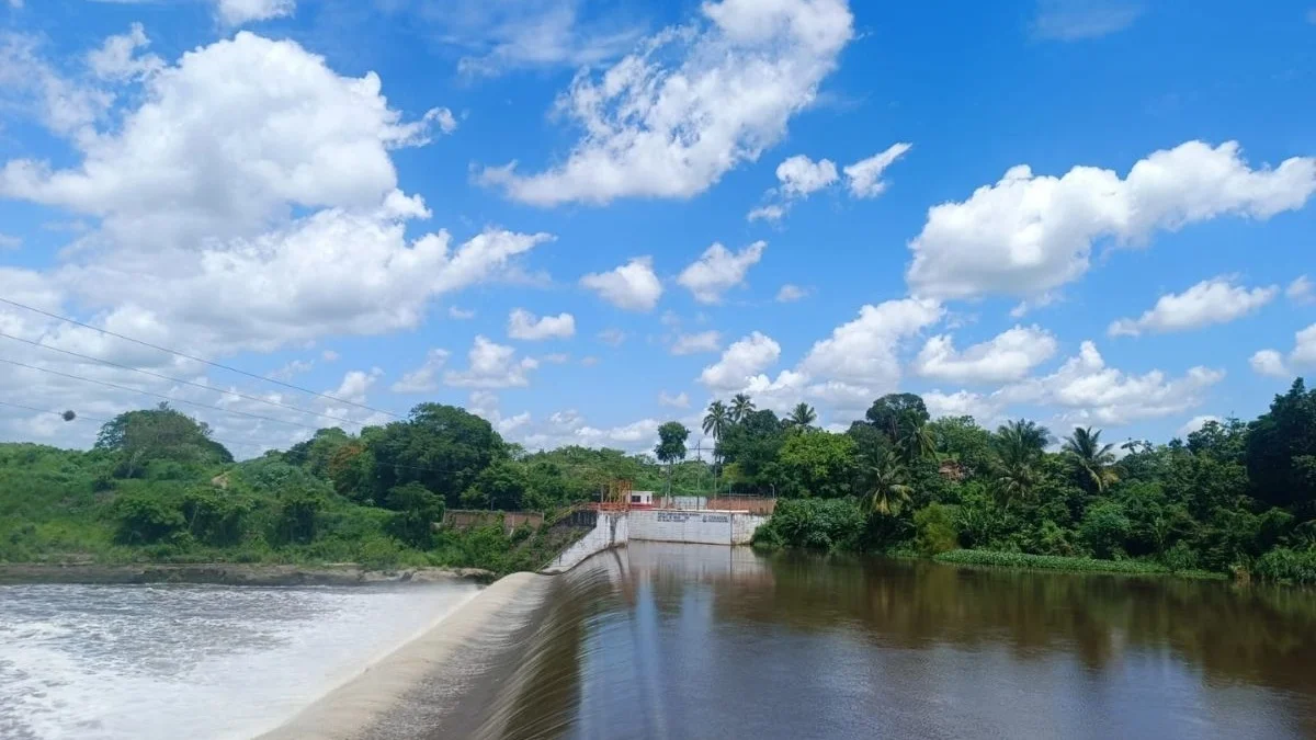 Analizarán en laboratorio nacional el agua de la cuenca del Papaloapan