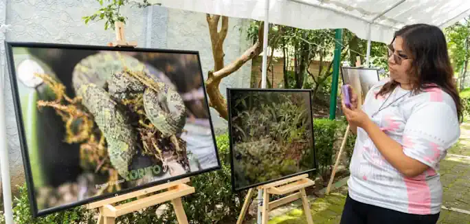 Más de mil asistentes participan en festival dedicado a la conservación de la vida silvestre