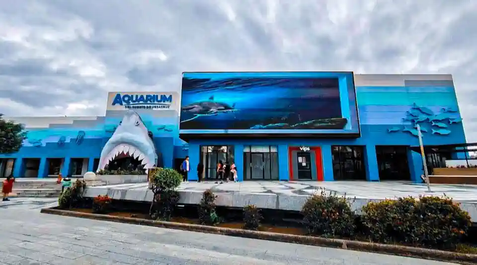 Gobernadora decreta descuento en el Aquarium, para que más veracruzanos lo visiten
