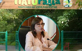 Rocío Nahle destinará recursos para rehabilitar el parque Naturalia tras afectaciones por tormenta.