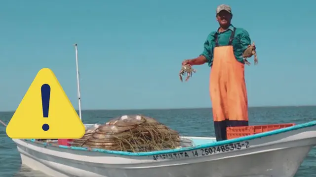 Veracruz tendría hasta 10 mil pescadores trabajando sin permisos