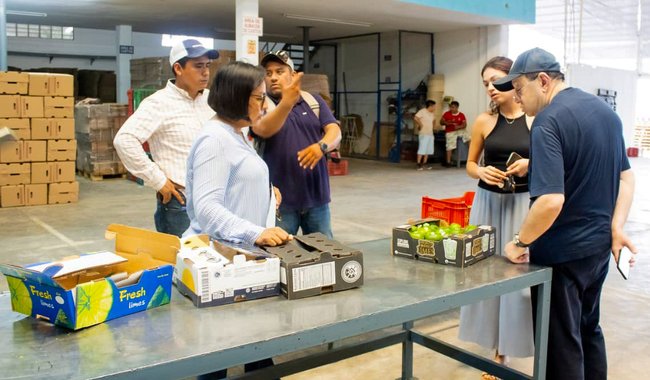 Sembradoras y sembradores de Papantla logran primera exportación de limón persa a Rusia