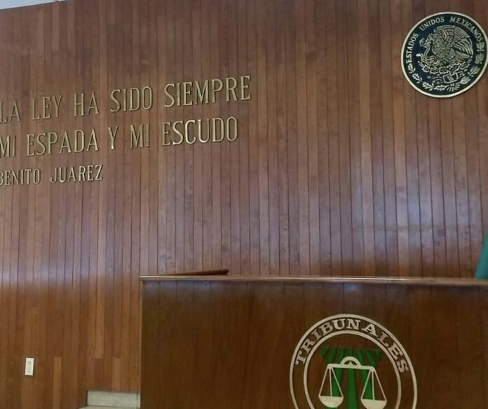 Veracruz cuenta con tres Tribunales Unitarios Agrarios; el de Xalapa concentra 3.7% de los asuntos concluidos del país